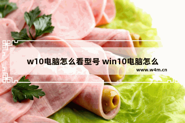 w10电脑怎么看型号 win10电脑怎么看型号