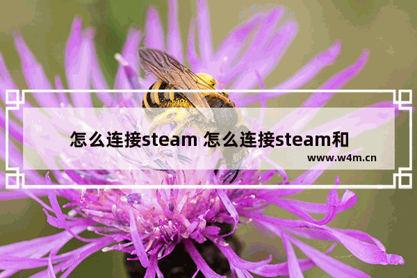 怎么连接steam 怎么连接steam和origin