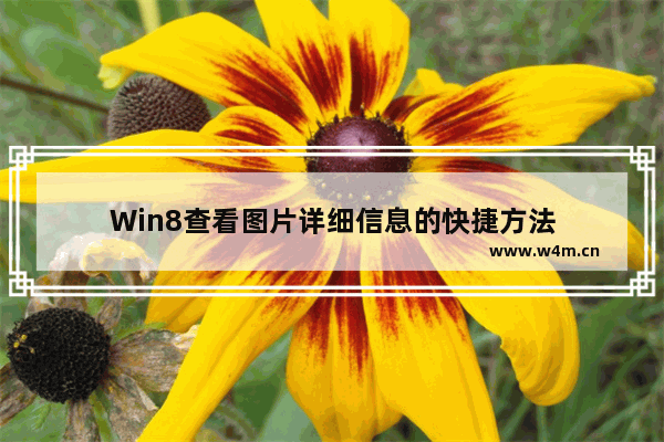 Win8查看图片详细信息的快捷方法