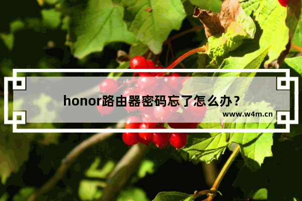 honor路由器密码忘了怎么办？