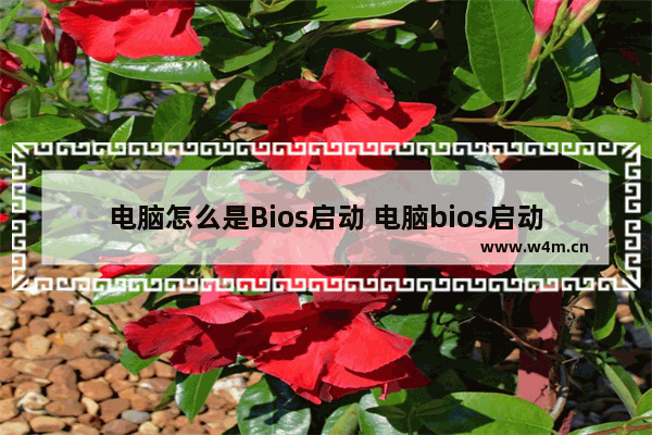 电脑怎么是Bios启动 电脑bios启动方式