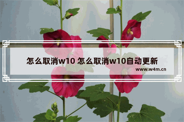 怎么取消w10 怎么取消w10自动更新