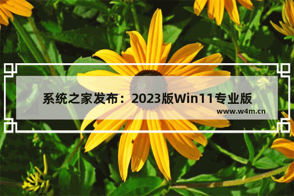 系统之家发布：2023版Win11专业版激活指南