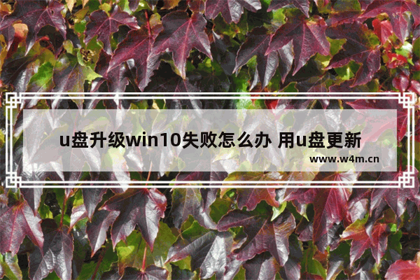 u盘升级win10失败怎么办 用u盘更新win10