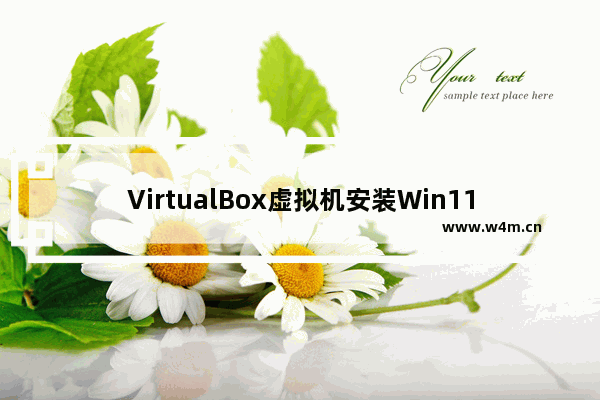 VirtualBox虚拟机安装Win11遇到无法运行的问题，怎么处理？