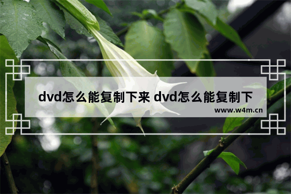 dvd怎么能复制下来 dvd怎么能复制下来文件