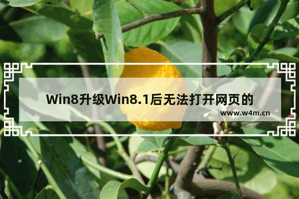 Win8升级Win8.1后无法打开网页的解决方法