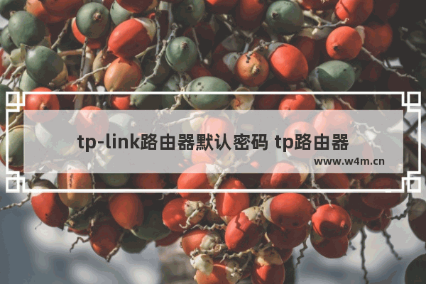 tp-link路由器默认密码 tp路由器初始化密码