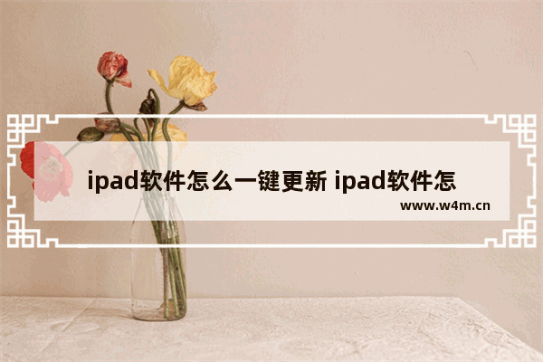 ipad软件怎么一键更新 ipad软件怎么手动更新