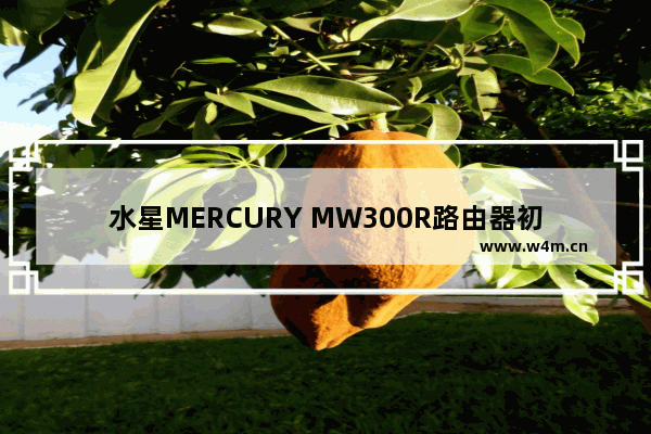 水星MERCURY MW300R路由器初始管理员密码是什么？