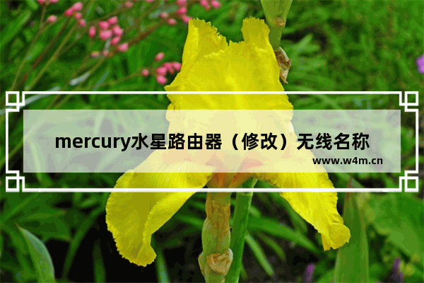 mercury水星路由器（修改）无线名称或密码