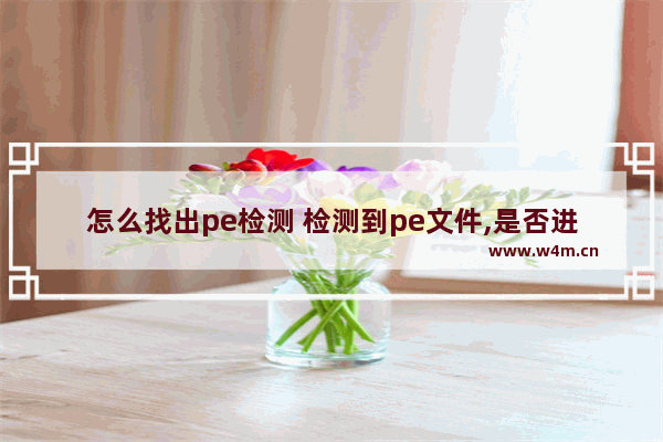 怎么找出pe检测 检测到pe文件,是否进行回写