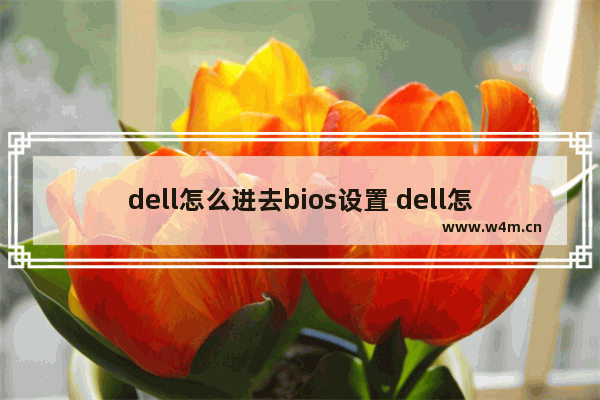 dell怎么进去bios设置 dell怎么进入bios设置