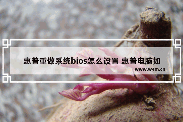 惠普重做系统bios怎么设置 惠普电脑如何重置bios