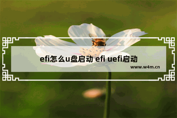 efi怎么u盘启动 efi uefi启动