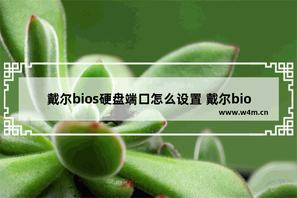 戴尔bios硬盘端口怎么设置 戴尔bios113设置硬盘启动