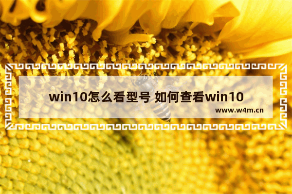 win10怎么看型号 如何查看win10电脑型号