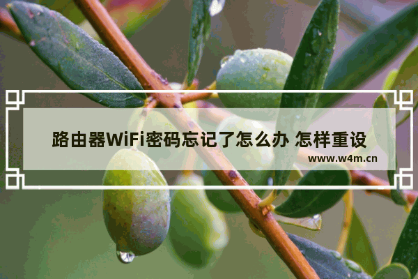 路由器WiFi密码忘记了怎么办 怎样重设WiFi密码