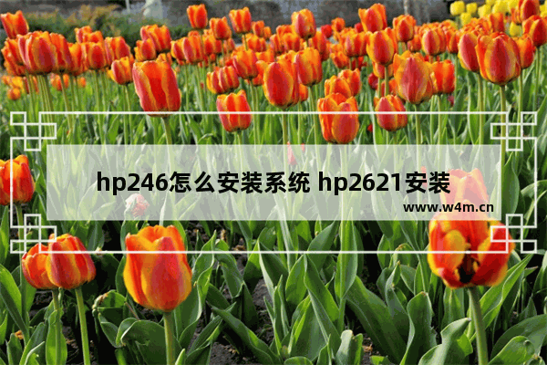 hp246怎么安装系统 hp2621安装教程