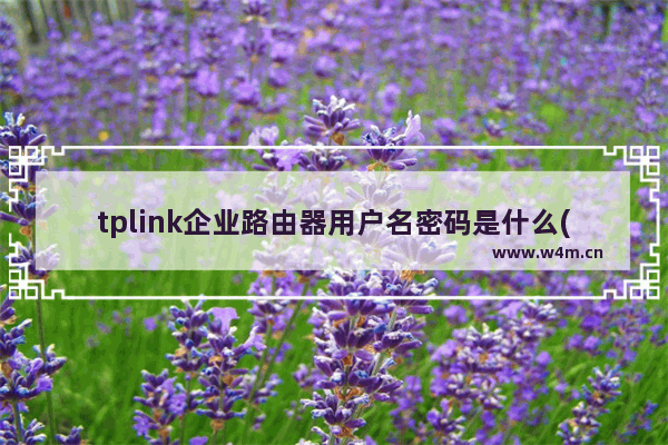 tplink企业路由器用户名密码是什么(多种实用查看方法)