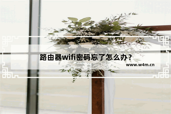 路由器wifi密码忘了怎么办？