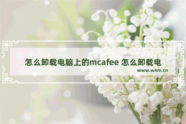 怎么卸载电脑上的mcafee 怎么卸载电脑上的flash插件