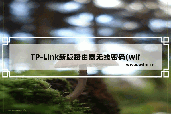 TP-Link新版路由器无线密码(wifi密码)忘记了的解决方法