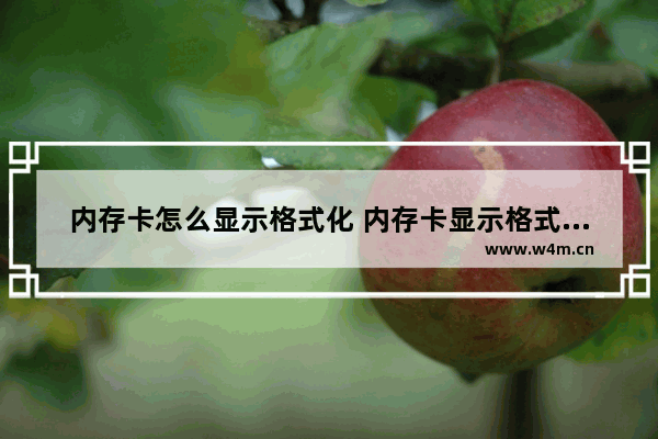 内存卡怎么显示格式化 内存卡显示格式化怎样恢复卡上内容