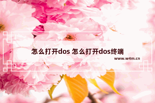 怎么打开dos 怎么打开dos终端