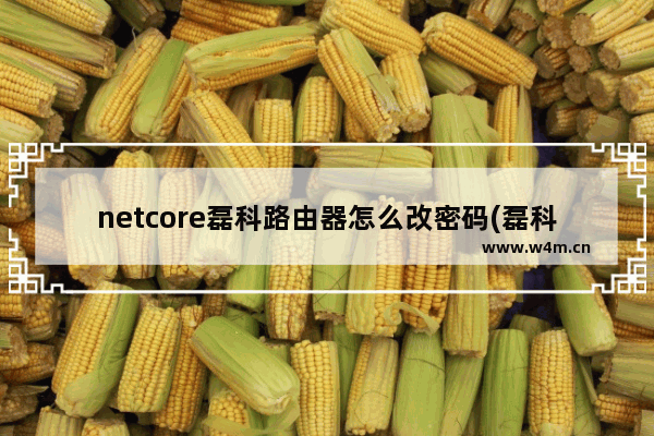 netcore磊科路由器怎么改密码(磊科路由器的密码是多少)