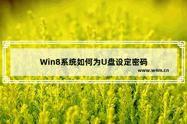 Win8系统如何为U盘设定密码