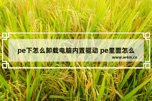 pe下怎么卸载电脑内置驱动 pe里面怎么卸载驱动