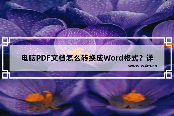 电脑PDF文档怎么转换成Word格式？详解操作方法！