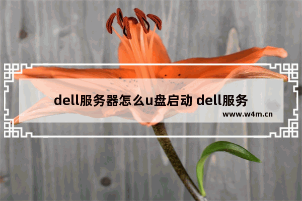 dell服务器怎么u盘启动 dell服务器u盘启动bios设置方法