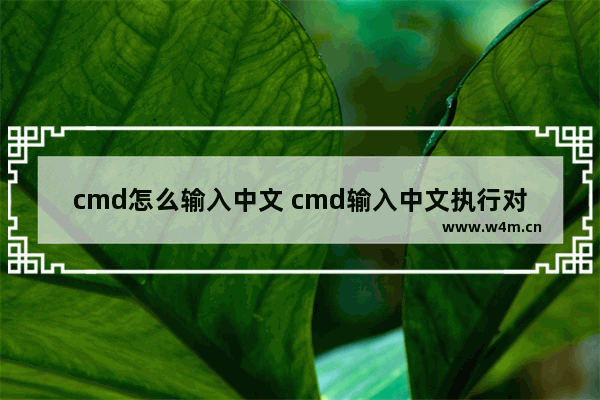 cmd怎么输入中文 cmd输入中文执行对应命令