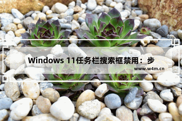 Windows 11任务栏搜索框禁用：步骤详解