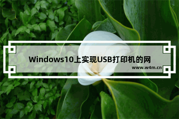 Windows10上实现USB打印机的网络共享：步骤指南