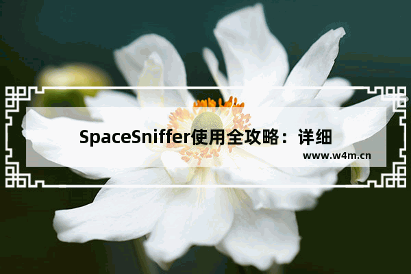 SpaceSniffer使用全攻略：详细使用教程分享