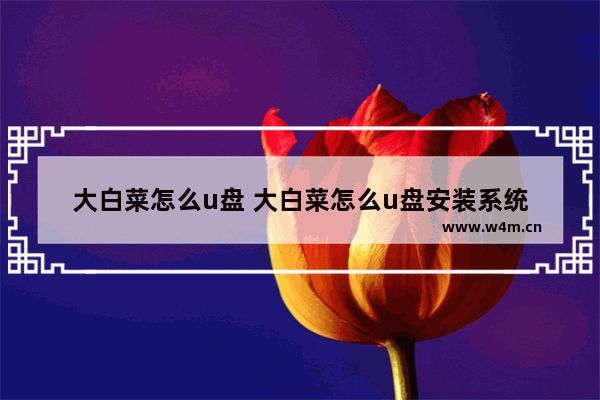 大白菜怎么u盘 大白菜怎么u盘安装系统