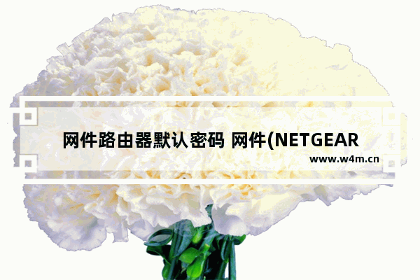 网件路由器默认密码 网件(NETGEAR)路由器默认初始登陆密码是什么？