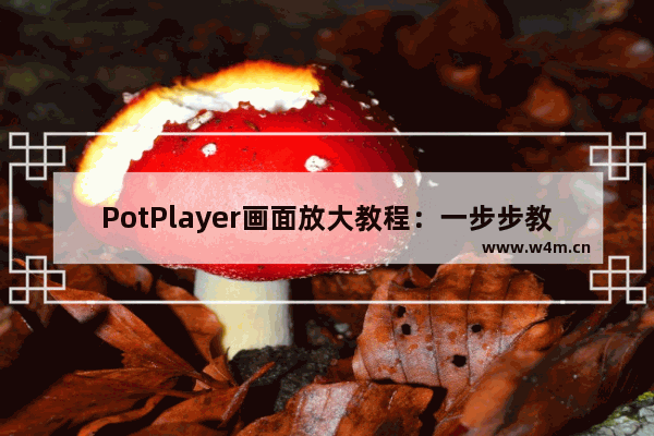 PotPlayer画面放大教程：一步步教你如何放大画面