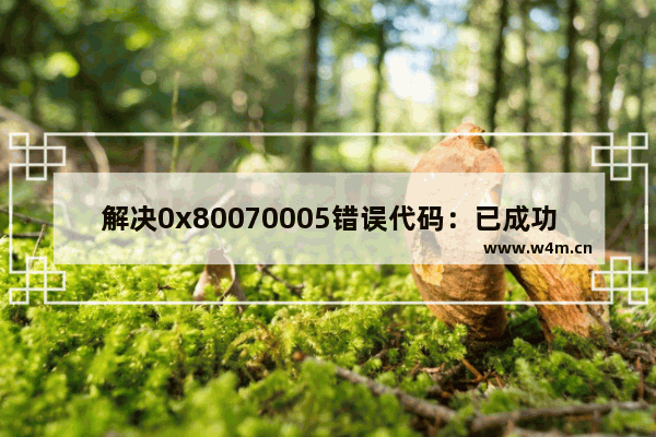 解决0x80070005错误代码：已成功解决