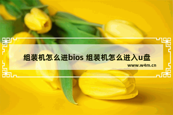 组装机怎么进bios 组装机怎么进入u盘启动模式