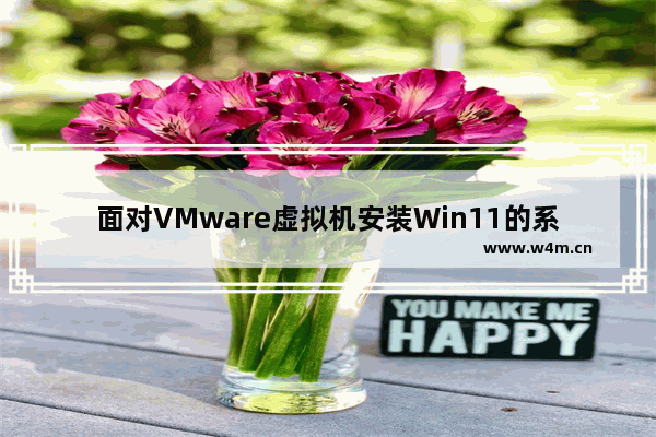 面对VMware虚拟机安装Win11的系统要求不满足提示，我们应该如何应对？