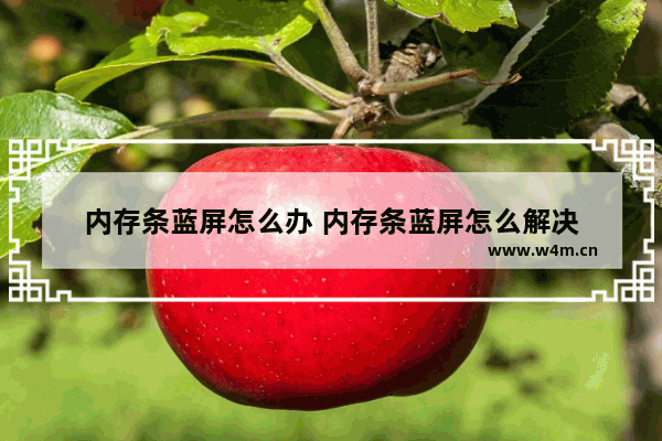 内存条蓝屏怎么办 内存条蓝屏怎么解决