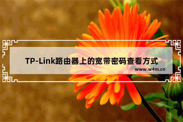 TP-Link路由器上的宽带密码查看方式方法