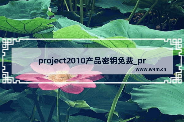 project2010产品密钥免费_project2010激活密钥永久激活码