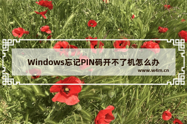 Windows忘记PIN码开不了机怎么办？解决方法详解！