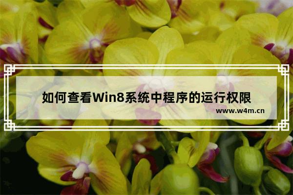 如何查看Win8系统中程序的运行权限