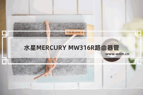 水星MERCURY MW316R路由器管理员初始密码是什么？